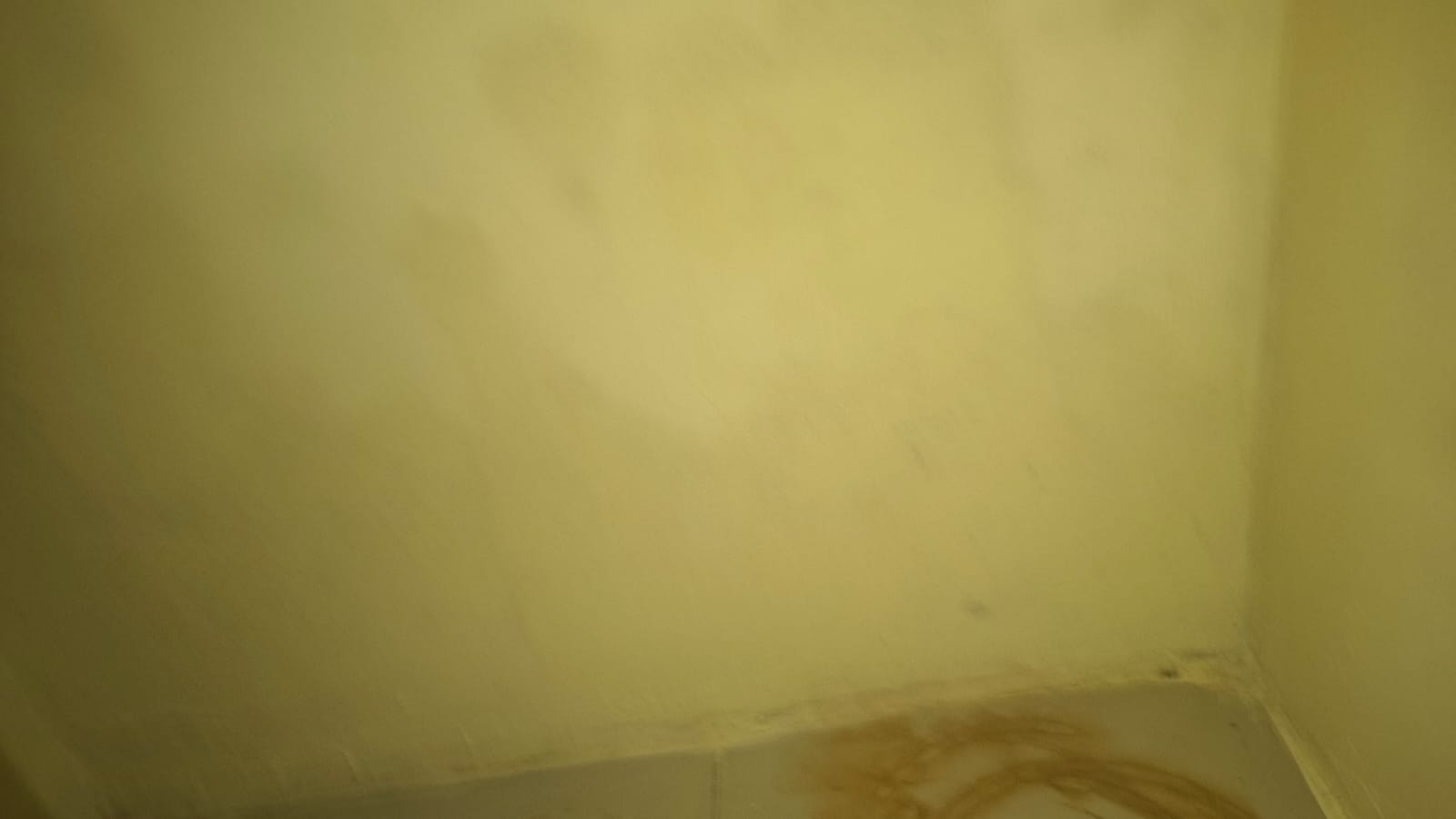 Bathroom dampness and moisture seepage on walls