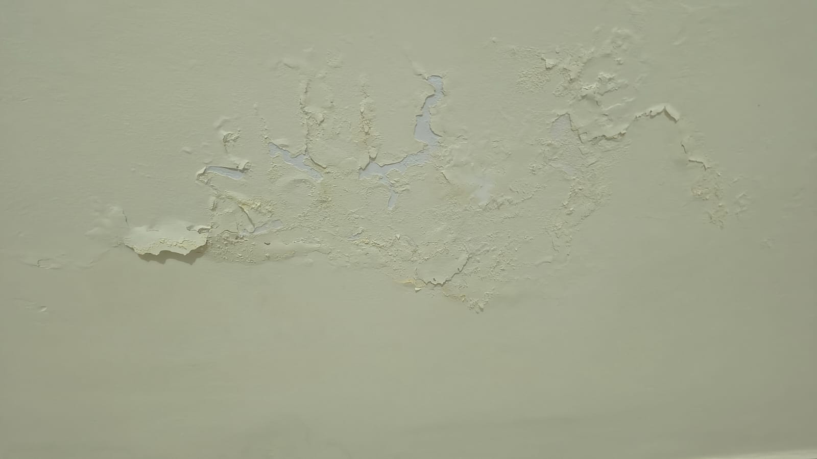 Wall paint peeling due to moisture seepage